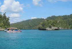 Langgar Adat Sasi Laut di Raja Ampat: Sakit hingga Dimakan Buaya