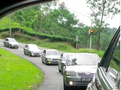 HUT Kedua dan Mubes Avegan