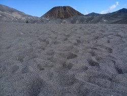 Bisikan Cinta di Pasir Bromo