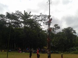 Lomba Panjat Pinang, Keceriaan dari Cianjur