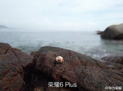 Kamera Huawei Honor 6 Pakai Gaya Jepret Dulu Fokus Belakangan