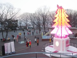 Foto: Indahnya Suasana Matahari Terbenam di Namsan Park, Korea Selatan