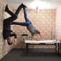 Zuck Jumpalitan Rayakan 300 Juta Anggota Instagram