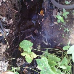 Semburan Gas Panas Tiba-tiba Muncul di Pekarangan Rumah Warga di Pontianak