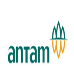 Antam Minta Pabrik Bahan Baku Pemurnian Emas Bebas Pajak