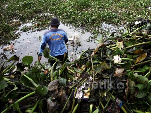 Situ Pangarengan Dibersihkan