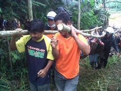 Mensos Siapkan Kebutuhan Para Korban Longsor di Banjarnegara