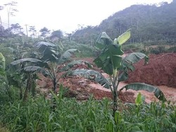 Datangi Lokasi Longsor Banjarnegara, Menteri PU Minta Tambahan Alat Berat