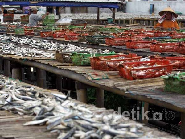 Musim Hujan, Produksi Ikan Asin Menurun