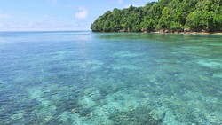 Pulau Kakaban, Surga Ubur-ubur dan Koral di Kalimantan Timur