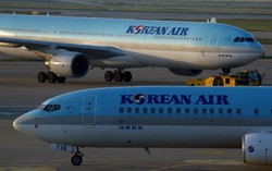 Gara-gara Kacang Macadamia, Eksekutif Korean Air  Mengundurkan Diri