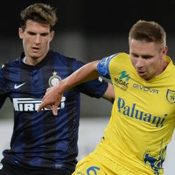 Keledai Terbang Ingin Tambah Luka Biru Hitam