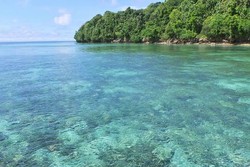 Pulau Kakaban, Surga Ubur-ubur & Terumbu Karang di Berau