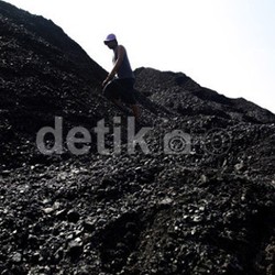 Setoran Non Pajak Batu Bara dan Mineral Ditargetkan Naik 25% Jadi Rp 50 Triliun