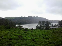 Seharian Menjelajah Indahnya Ciwidey, Puas!