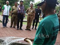 Cawagub Djarot Tinjau Taman Tanjung