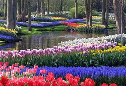 Ridwan Kamil Rancang Destinasi Wisata Kebun Bunga Terkeren se-Indonesia