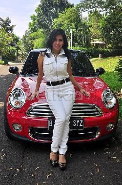 Melaju di Bahu Jalan di Tol, Mini Cooper Milik Artis Dangdut Ditilang