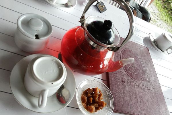 Segarnya Minum Teh di Lereng Gunung Lawu