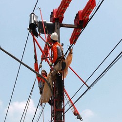 Ini Daerah yang Sekarang Sudah Krisis Listrik