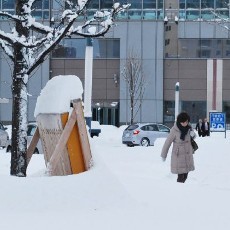 Badai Salju Landa Jepang, 3 Orang Tewas dan Ratusan Penerbangan Batal