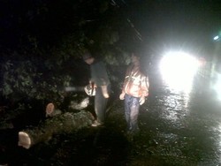 Puluhan Pohon Mahoni dan Angsana Sempat Tutup Jalan Rumah Sakit