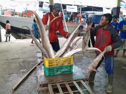 Rakyat Kecil Masih Andalkan Tengkulak dan Rentenir untuk Modal Usaha