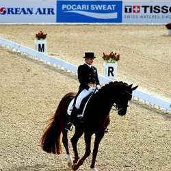 Berkuda Tidak Sedang Down, Silakan PSSI Baca Sendiri