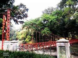 Mitos Jembatan Putus Cinta di Kebun Raya Bogor