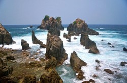 Berani Lihat Gigi Hiu di Teluk Kiluan?