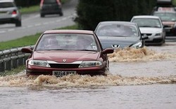 Mobil Harus Menerjang Banjir? Lakukan Langkah Ini