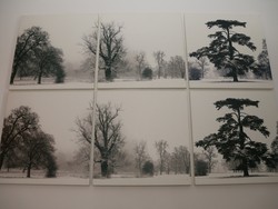 Di Rumah Gracia Indri, Furniture pun Hitam-Putih