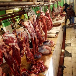 Di 2015 Kebutuhan Daging Sapi RI 639.000 Ton, Naik 8%