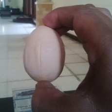 Aneh Tapi Nyata, Kulit Telur Bertekstur Pedang dan Salib