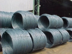 Siti Nurbaya akan Panggil 15 Perusahaan Baja Perusak Lingkungan