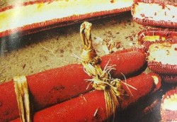 Perawatan Kecantikan ala Wanita Papua dengan Buah Merah