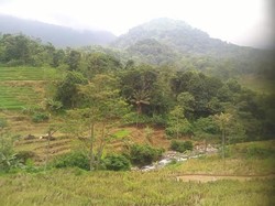 Melacak Masyarakat Pembangun Situs Batu Naga di Kuningan