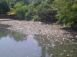 Kali Sekretaris Riwayatmu Kini, Dulu Seksi Sekarang Bau dan Penuh Sampah