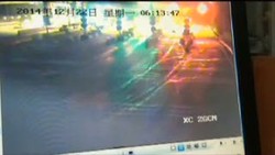 Ribut Dengan Pasangan, Burung Unta Ini Bikin Onar di Jalan Tol