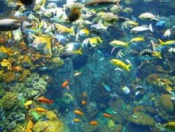 Liburan Keluarga Akhir Tahun ke Osaka, Ini Dia Tempatnya