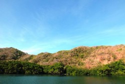 Pemandangan Indah & Lumba-lumba di Pelabuhan Patumbukan