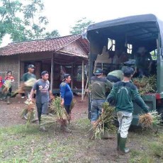 Bisa Menghujam 15 Meter, 3 Ton Akar Wangi akan Ditanam di Banjarnegara