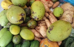 Buah Batok dan Rumbia Bikin Racikan Rujak Aceh Rasanya Unik