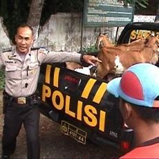 Komplotan Pemuda Ini Curi Kambing Berdalih Foya-foya Saat Tahun Baru