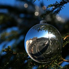 Telanjang Dada di Alun-alun Vatikan Saat Natal, Aktivis Wanita Ditangkap