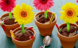 Yummy! Flowerpot Tiramisu, Dessert Lembut yang Cantik