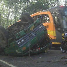 Truk Kontainer Muat Sarden Terguling di Kawasan Hutan Baluran