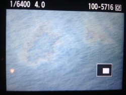 Ini Penampakan Tumpahan Minyak di Perairan Tanjung Pandan