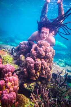 Beautiful Coral in Karimun Jawa