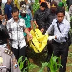 Mayat Pria Penuh Luka di Kebun Jagung Gegerkan Warga Sumenep
